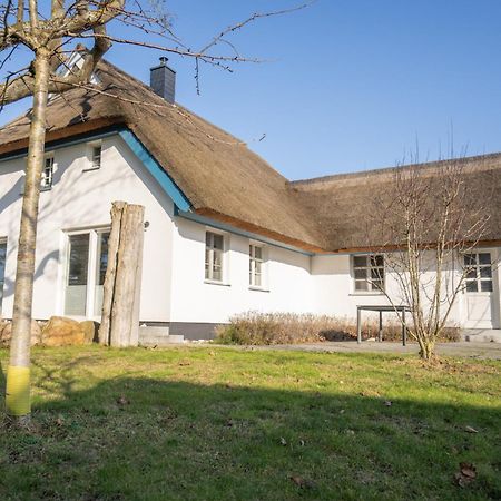 Haus Tadder Villa บอร์น ภายนอก รูปภาพ